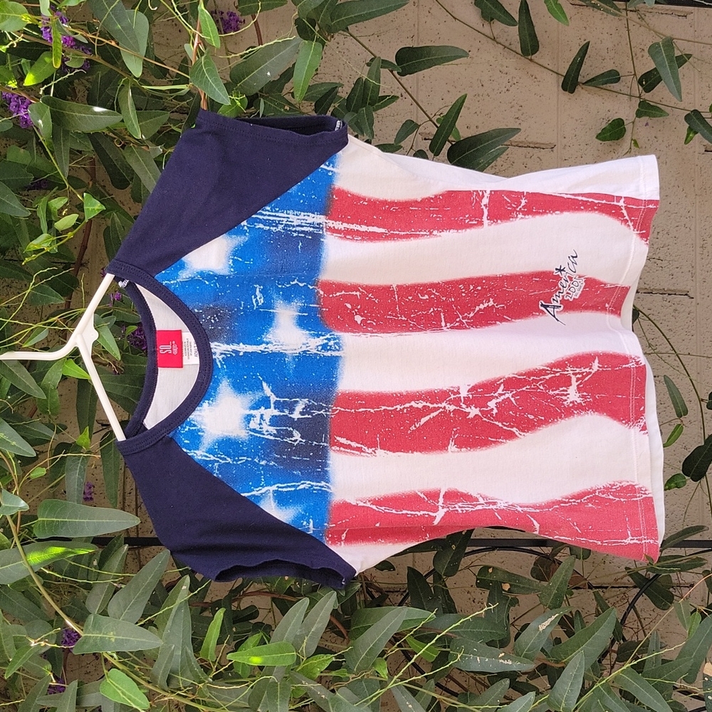 American Flag Graphic 2005 Tshirt So Adult XL Cotton Blend